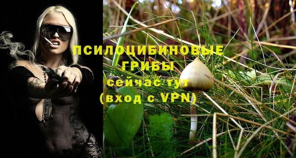 ALPHA-PVP Алексин