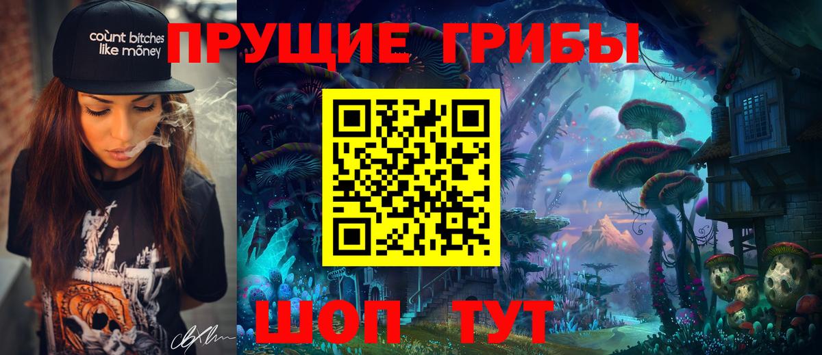 Тамбов  Псилоцибиновые грибы Magic Shrooms  Вход с VPN  Галлюциногенные грибы Psilocybine cubensis 