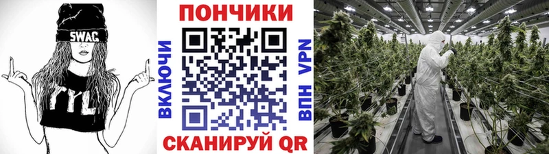 МАРИХУАНА ГИДРОПОН  Тамбов 